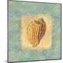 Spa Sea Shell I-null-Mounted Giclee Print