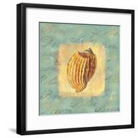 Spa Sea Shell I-null-Framed Giclee Print