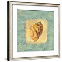 Spa Sea Shell I-null-Framed Giclee Print