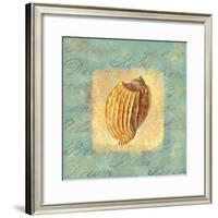 Spa Sea Shell I-null-Framed Giclee Print