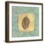 Spa Sea Shell II-null-Framed Giclee Print