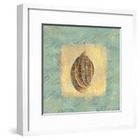 Spa Sea Shell II-null-Framed Giclee Print