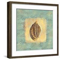 Spa Sea Shell II-null-Framed Giclee Print