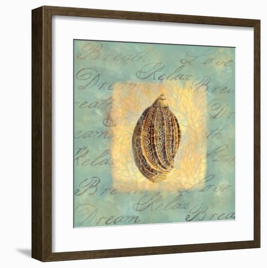 Spa Sea Shell II-null-Framed Giclee Print