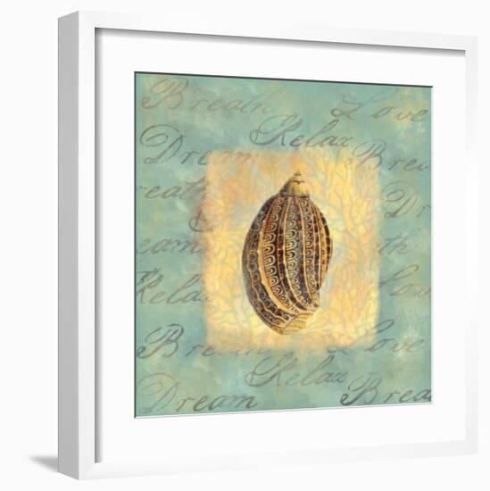 Spa Sea Shell II-null-Framed Giclee Print