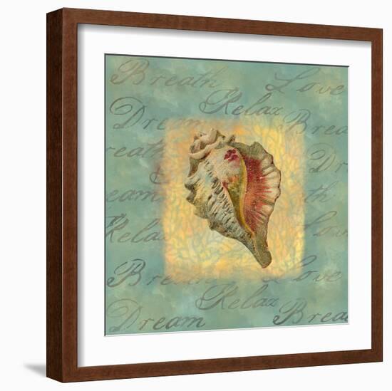 Spa Sea Shell III-null-Framed Giclee Print