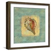 Spa Sea Shell III-null-Framed Giclee Print