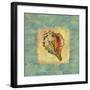 Spa Sea Shell III-null-Framed Giclee Print