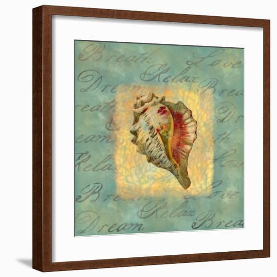 Spa Sea Shell III-null-Framed Giclee Print