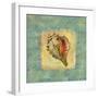 Spa Sea Shell III-null-Framed Giclee Print