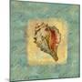 Spa Sea Shell III-null-Mounted Giclee Print