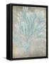 Spa Seaweed I-Jennifer Goldberger-Framed Stretched Canvas