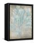 Spa Seaweed I-Jennifer Goldberger-Framed Stretched Canvas