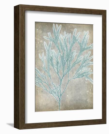 Spa Seaweed I-Jennifer Goldberger-Framed Art Print