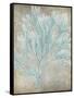 Spa Seaweed I-Jennifer Goldberger-Framed Stretched Canvas
