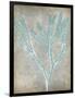 Spa Seaweed II-Jennifer Goldberger-Framed Art Print