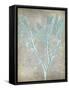 Spa Seaweed II-Jennifer Goldberger-Framed Stretched Canvas