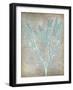 Spa Seaweed II-Jennifer Goldberger-Framed Art Print