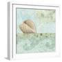 Spa Shells I-NBL Studio-Framed Art Print