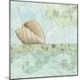 Spa Shells I-NBL Studio-Mounted Art Print