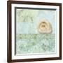 Spa Shells IV-NBL Studio-Framed Giclee Print