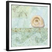 Spa Shells IV-NBL Studio-Framed Giclee Print