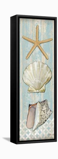 Spa Shells Vertical II-Paul Brent-Framed Stretched Canvas