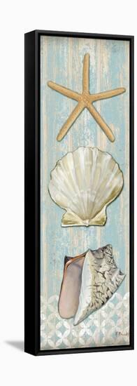 Spa Shells Vertical II-Paul Brent-Framed Stretched Canvas