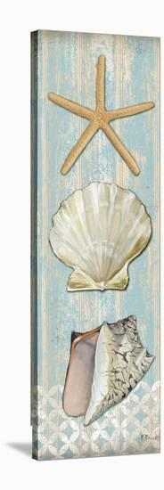 Spa Shells Vertical II-Paul Brent-Stretched Canvas