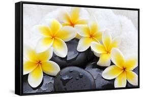 Spa Still Life with Frangipani Flowers,White Towel and Zen Stone-Liang Zhang-Framed Stretched Canvas