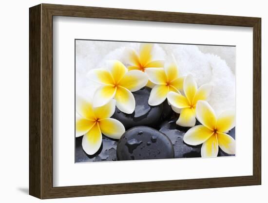 Spa Still Life with Frangipani Flowers,White Towel and Zen Stone-Liang Zhang-Framed Photographic Print