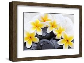 Spa Still Life with Frangipani Flowers,White Towel and Zen Stone-Liang Zhang-Framed Photographic Print