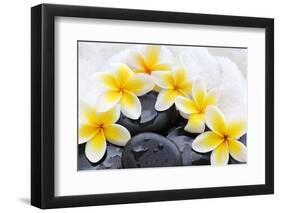 Spa Still Life with Frangipani Flowers,White Towel and Zen Stone-Liang Zhang-Framed Photographic Print