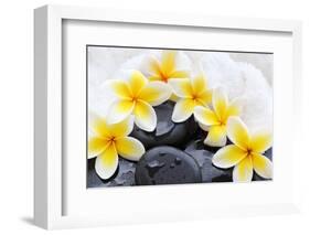 Spa Still Life with Frangipani Flowers,White Towel and Zen Stone-Liang Zhang-Framed Photographic Print