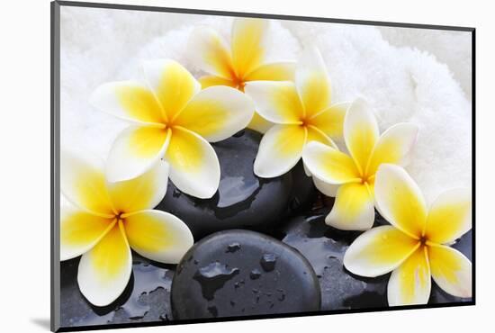 Spa Still Life with Frangipani Flowers,White Towel and Zen Stone-Liang Zhang-Mounted Photographic Print