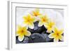 Spa Still Life with Frangipani Flowers,White Towel and Zen Stone-Liang Zhang-Framed Photographic Print