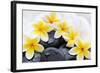 Spa Still Life with Frangipani Flowers,White Towel and Zen Stone-Liang Zhang-Framed Photographic Print