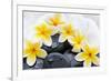 Spa Still Life with Frangipani Flowers,White Towel and Zen Stone-Liang Zhang-Framed Photographic Print