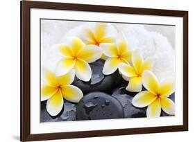 Spa Still Life with Frangipani Flowers,White Towel and Zen Stone-Liang Zhang-Framed Photographic Print