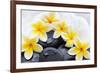 Spa Still Life with Frangipani Flowers,White Towel and Zen Stone-Liang Zhang-Framed Photographic Print