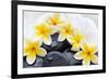 Spa Still Life with Frangipani Flowers,White Towel and Zen Stone-Liang Zhang-Framed Photographic Print