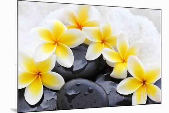 Spa Still Life with Frangipani Flowers,White Towel and Zen Stone-Liang Zhang-Mounted Photographic Print