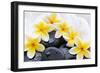 Spa Still Life with Frangipani Flowers,White Towel and Zen Stone-Liang Zhang-Framed Photographic Print