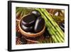 Spa Still Life with Hot Stones and Essential Oil-egal-Framed Photographic Print