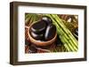 Spa Still Life with Hot Stones and Essential Oil-egal-Framed Photographic Print