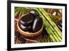 Spa Still Life with Hot Stones and Essential Oil-egal-Framed Photographic Print