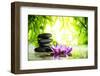 Spa Still Life with Lotus and Zen Stone on Water,Bamboo Background.-Liang Zhang-Framed Premium Photographic Print