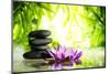 Spa Still Life with Lotus and Zen Stone on Water,Bamboo Background.-Liang Zhang-Mounted Premium Photographic Print