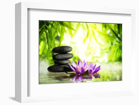 Spa Still Life with Lotus and Zen Stone on Water,Bamboo Background.-Liang Zhang-Framed Photographic Print