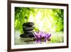 Spa Still Life with Lotus and Zen Stone on Water,Bamboo Background.-Liang Zhang-Framed Photographic Print